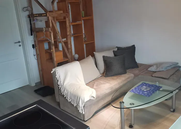 Im Harzer Vogelnest Meisennest * Bad Harzburg